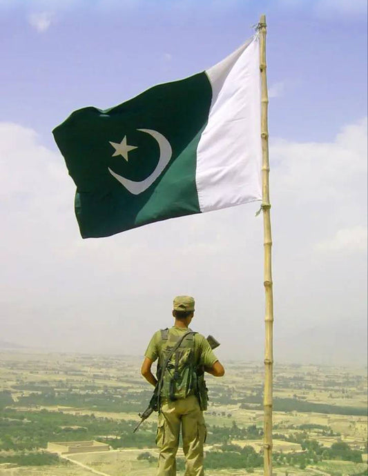 Lone Soldier & Pakistani Flag Poster Wall Art