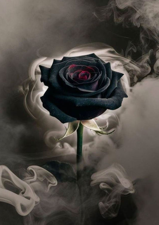 Smokey Black & Red Rose Wall Art