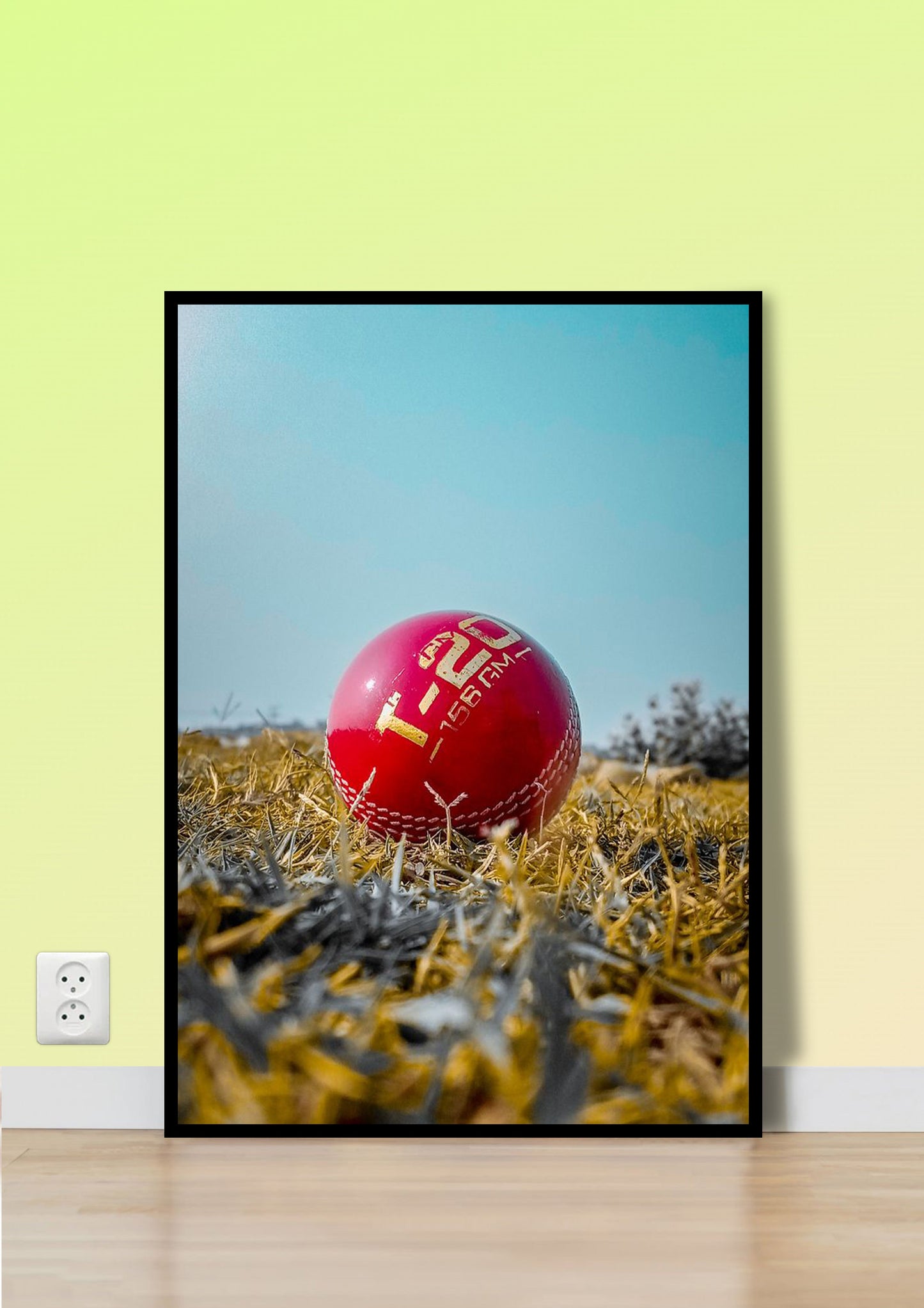 Cricket Ball on the Grass Wall Art