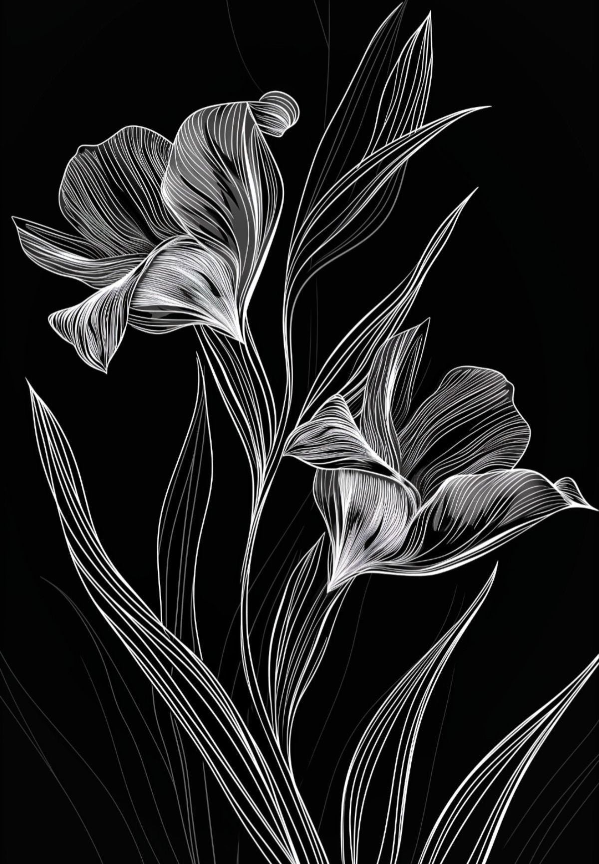 Black & White Line Art Flowers Wall Art