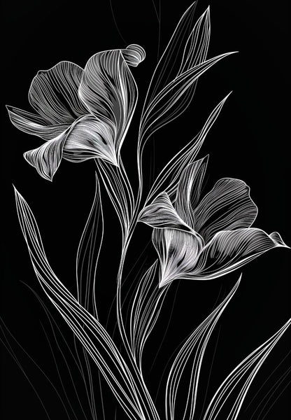 Black & White Line Art Flowers Wall Art