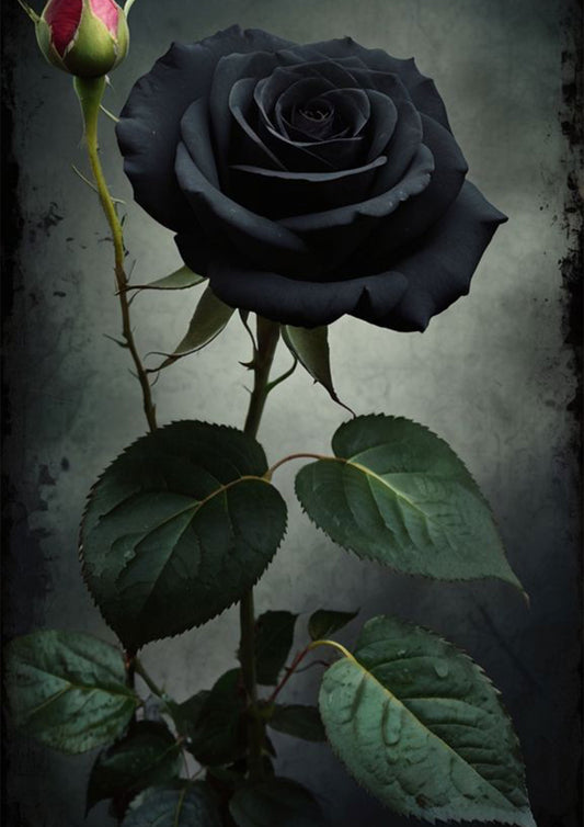 Moody Black Rose Wall Art