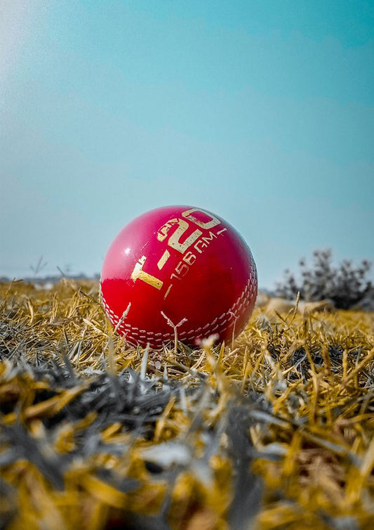 Cricket Ball on the Grass Wall Art